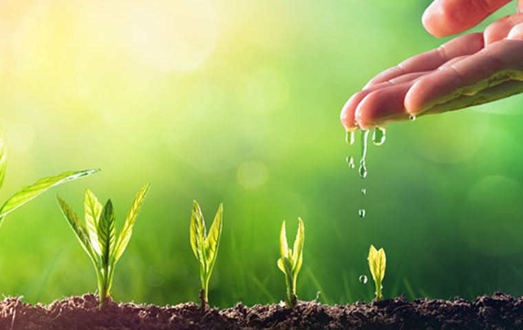 Crops Care